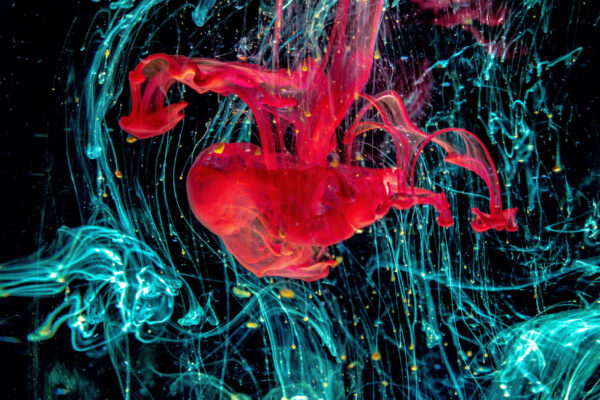 lucas-benjamin-565254-unsplash